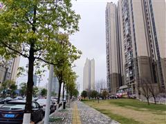 恒大未来城临街1楼商铺房东出租 33平方